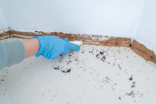 Best Commercial Pest Control Services  in Van, TX